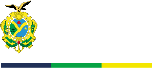 Logo Governo